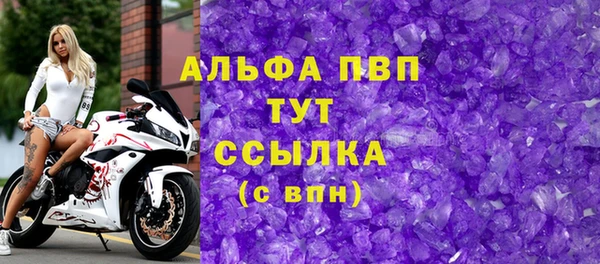 стаф Козельск