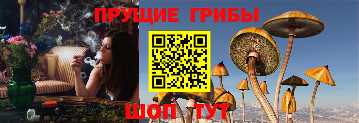 Костомукша  Псилоцибиновые грибы ЛСД  Вход с VPN 